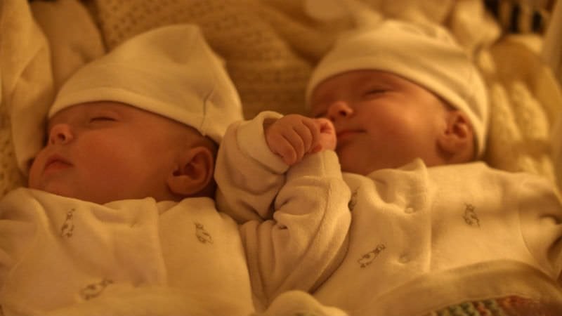 #0 estrena ‘La vida secreta de los gemelos’, un documental de la BBC